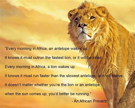 It doesn't matter whether you're the lion or an antelope, when the sun ...