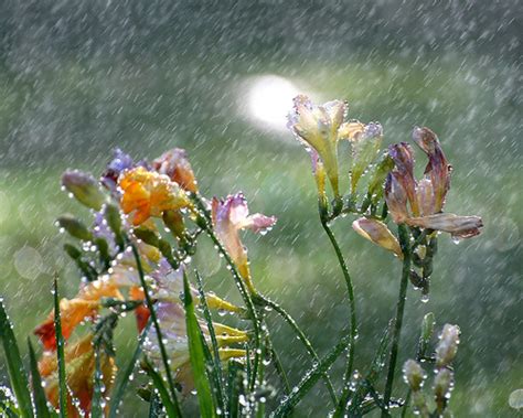 Rainy Day Photography Tips | Discover Digital Photography