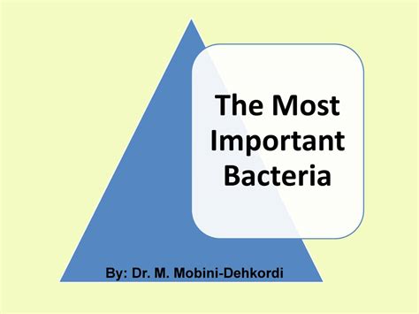 Alpha and Beta Proteobacteria.ppt | DocDroid