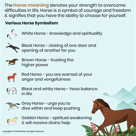 Horse Symbolism | Horse Spirit Animal | Horse Meaning | White Horse Meaning