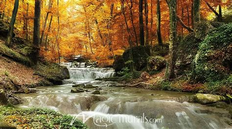 Waterfall in the Woods - campestre.al.gov.br