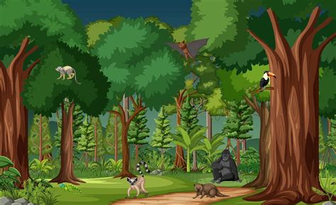 Tropical rainforest scene with various wild animals 2882563 Vector Art ...