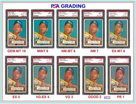 PSA Grading: A Complete Guide about Sports Cards Grading - SlushWeb