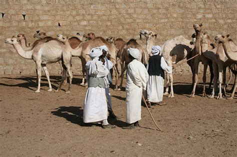 Visit Eritrea :: Culture