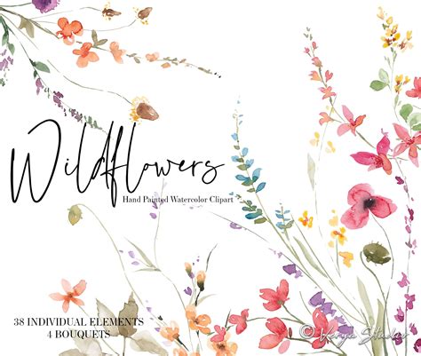 hand drawn wedding floral clipart PNG summer watercolor plant clipart ...