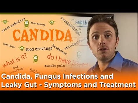 Yeast Infection Candida, Fungus Infections and Leaky Gut – Symptoms and Treatment – What is ...