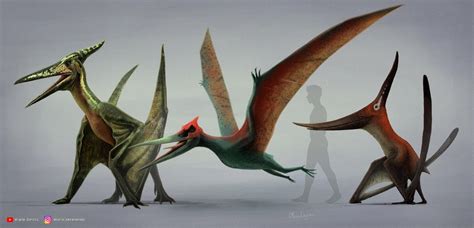 Pteranodon by MarioLanzas on DeviantArt