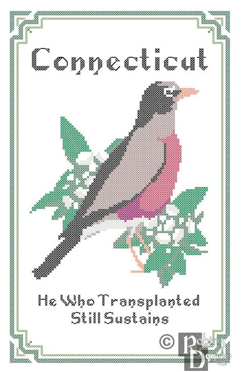 Connecticut State Bird, Flower and Motto Cross Stitch Pattern PDF - Etsy