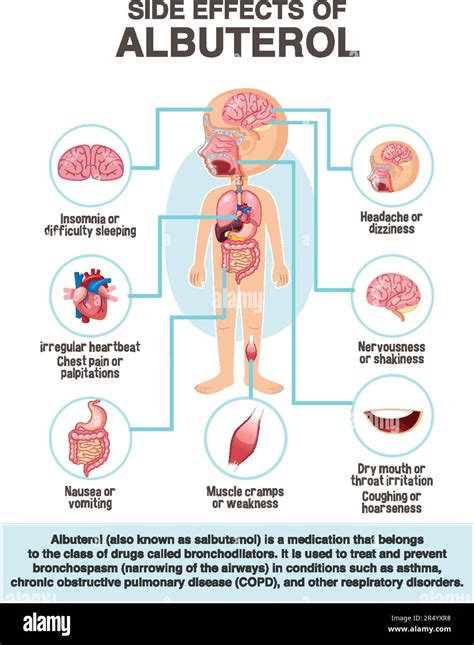 Human anatomy diagram cartoon style of albuterol side effects ...