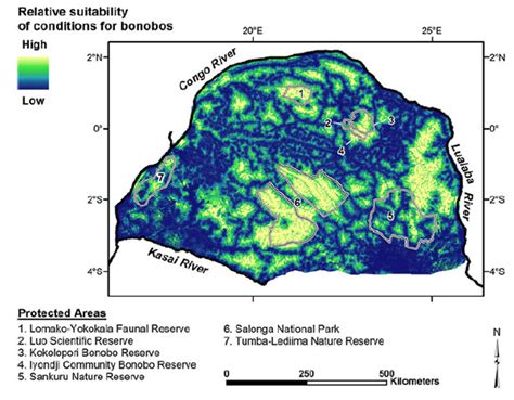 28 percent of potential bonobo habitat remains suitable