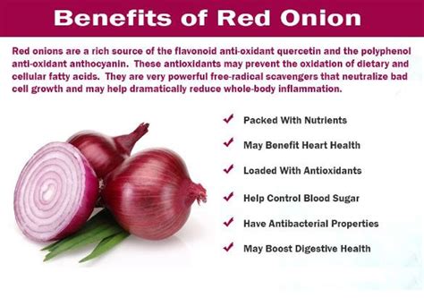 Red Onion Powder - manufacturer - undersun