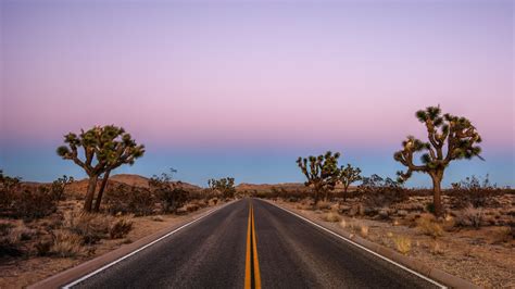 Here's Why You Won't Regret Adding The Loneliest Road In America To ...