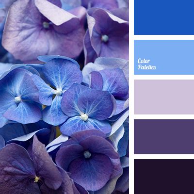 Color Palette #2555 | Color Palette Ideas