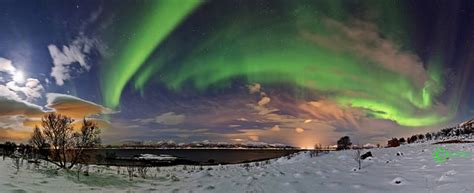 Astrophoto: Stunning Northern Norway Aurora - Universe Today