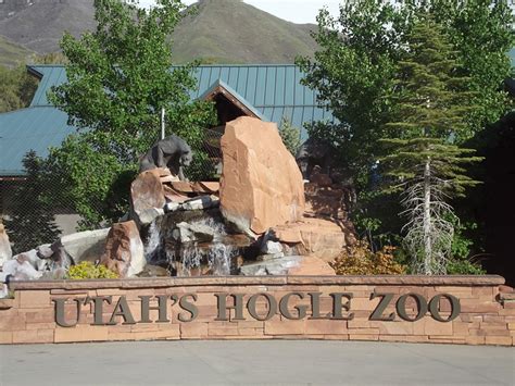 High Altitude Fun at the Hogle Zoo - Our Changing Lives