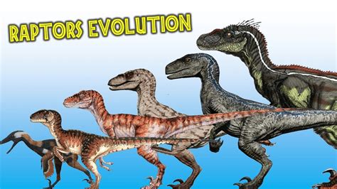 Utahraptor Size Comparison