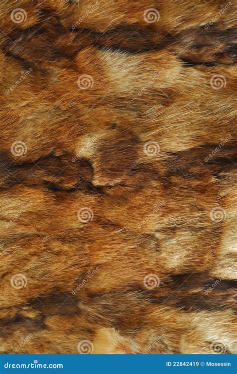 Animal fur pattern stock image. Image of pattern, dark - 22842419