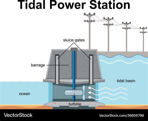 Diagram showing tidal power station Royalty Free Vector