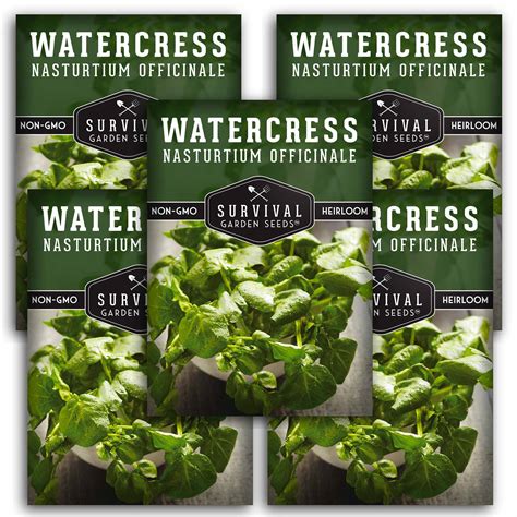 Watercress Seeds for Planting - SurvivalGardenSeeds