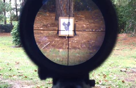 Prepare Your Weapon: Easy Steps to Zeroing Your Rifle Scope - The ...