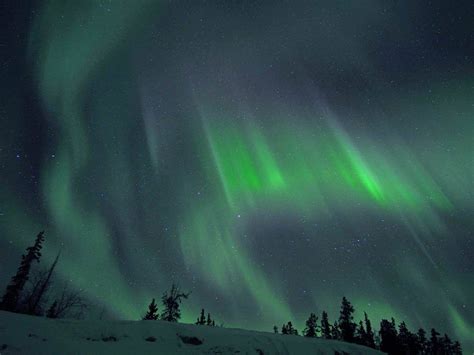 Private Aurora Hunting - Northern Lights Viewing in Whitehorse, Yukon