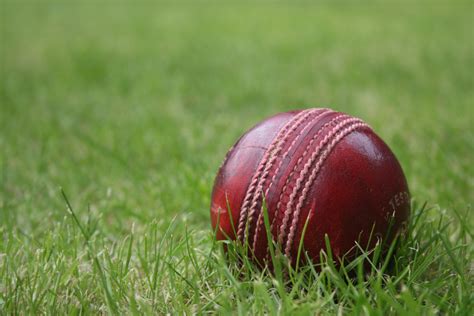 silence before the storm: Eulogy to the resurgence of cricket