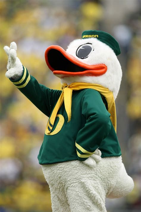 Best Mascot Fights of All-Time (Video) | Bleacher Report | Latest News, Videos and Highlights