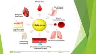 H1 & h2 receptor blockers | PPT