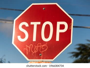 Stop Sign Graffiti Stock Photo 1966304734 | Shutterstock