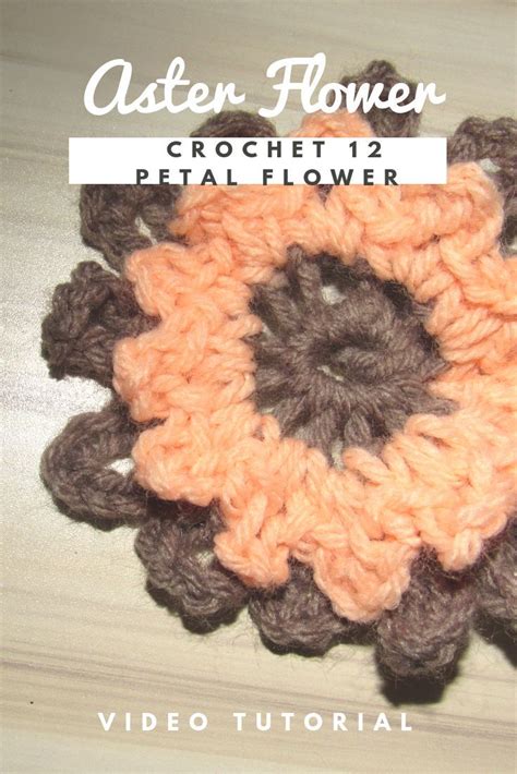 Learn how to crochet this 12 petal flower called the Aster Flower in this video tutorial ...