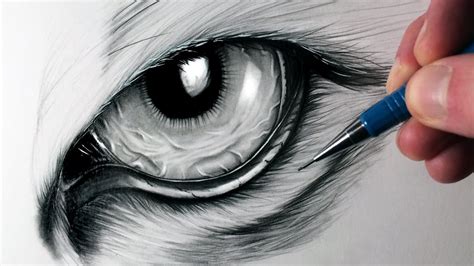 How to Draw a Tiger Eye - YouTube