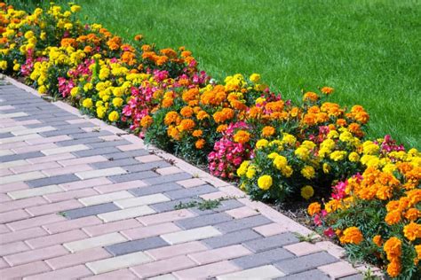 10+ Driveway Plant Border Ideas – HOMYRACKS