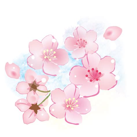 【100+】 桜 イラスト フリー Png ~ 無料の印刷可能なイラスト画像