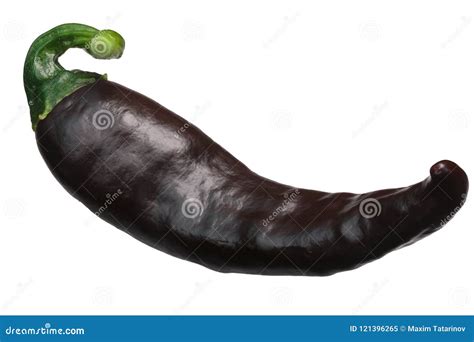 Brown Chilaca Pasilla Chile Pepper, Paths Stock Image - Image of food, isolated: 121396265