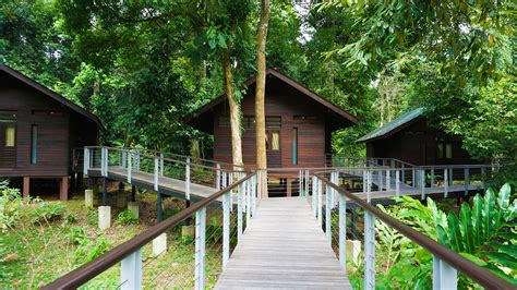 Borneo Rainforest Lodge - Danum Valley Rainforest Lodge