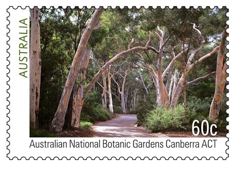 National Botanic Gardens Canberra – Beautiful Flower Arrangements and ...