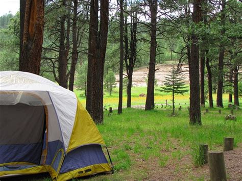 Apache National Forest Alpine Divide Campground, Alpine, AZ - GPS, Campsites, Rates, Photos ...