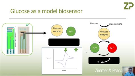 When to use or not use cyclic voltammetry in biosensor development - YouTube