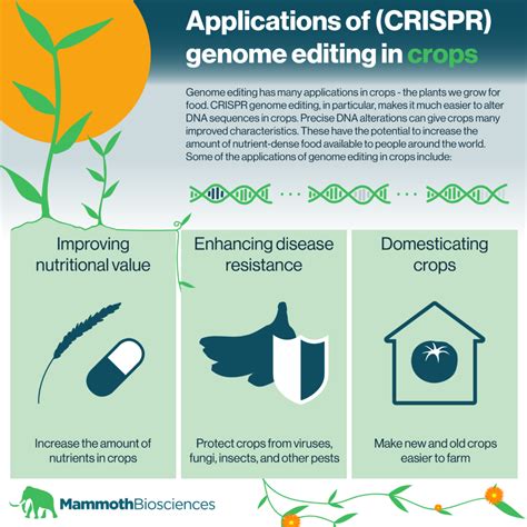 Applications Of Crisprcas In Agriculture | Hot Sex Picture