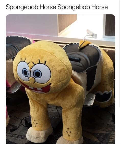 Spongebob Horse : r/memes