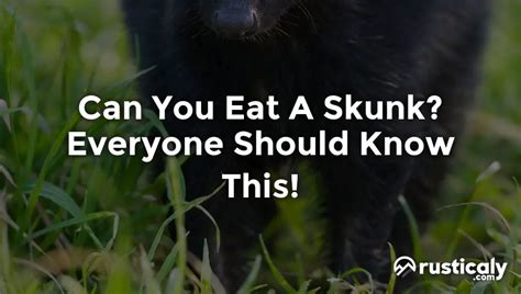 Can You Eat A Skunk? Here's Everything You Should Know