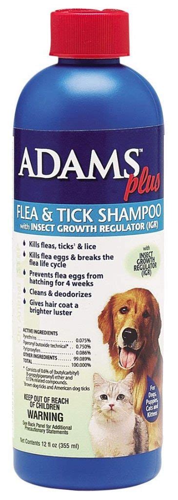 Best Flea Treatment for Dogs: What Actually Works | Therapy Pet