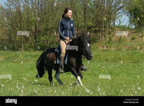 woman rides Shetland Pony Stock Photo, Royalty Free Image: 75329974 - Alamy