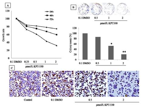 KPT-330 Inhibits the Growth and Proliferation of HT29 Cell Line. MTT ...