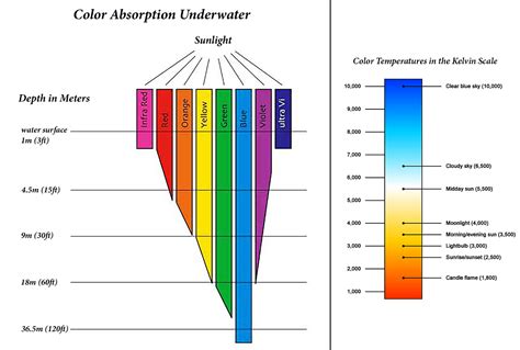 Is Visible Light Used In Photography at Chester Young blog