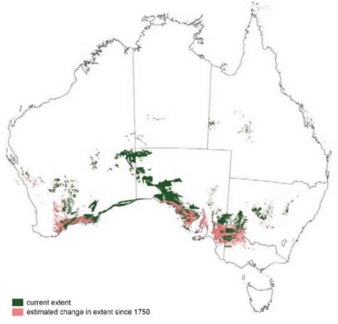 Mallee Woodlands and Shrublands - Australian Vegetation