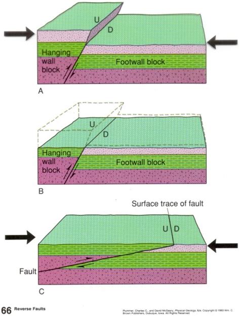 Geologic Structures and Diagrams