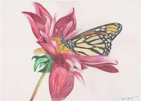 Flower With Butterfly Drawing at GetDrawings.com | Free for personal ...