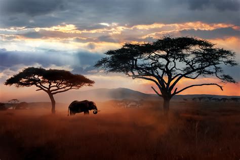 10 Most Beautiful Places in Africa (2023 Travel Guide)