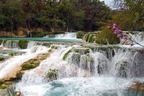 Cascada del Meco, El Naranjo, San Luis Potosí, México | Lugares preciosos, Hermosos paisajes ...